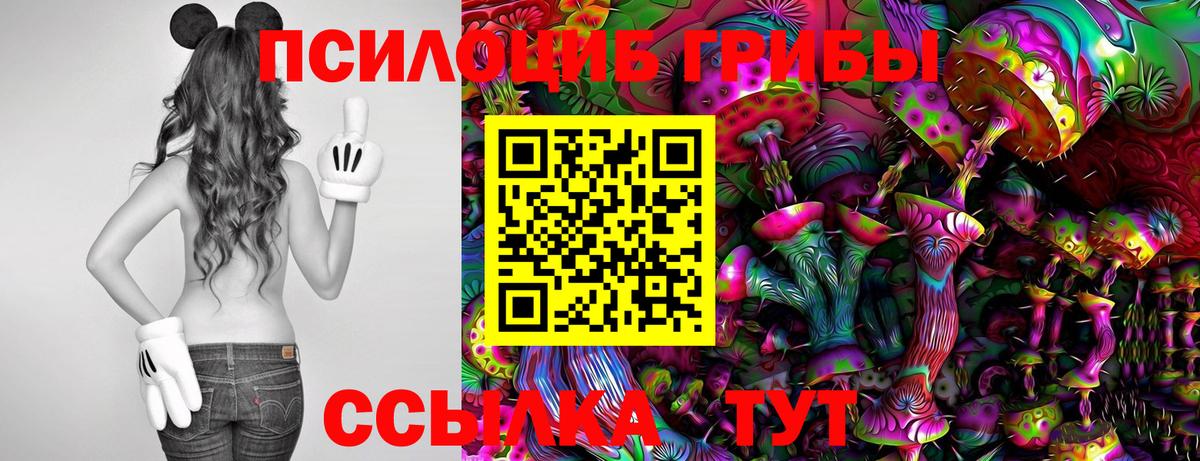 Псилоцибиновые грибы прущие грибы Мыски