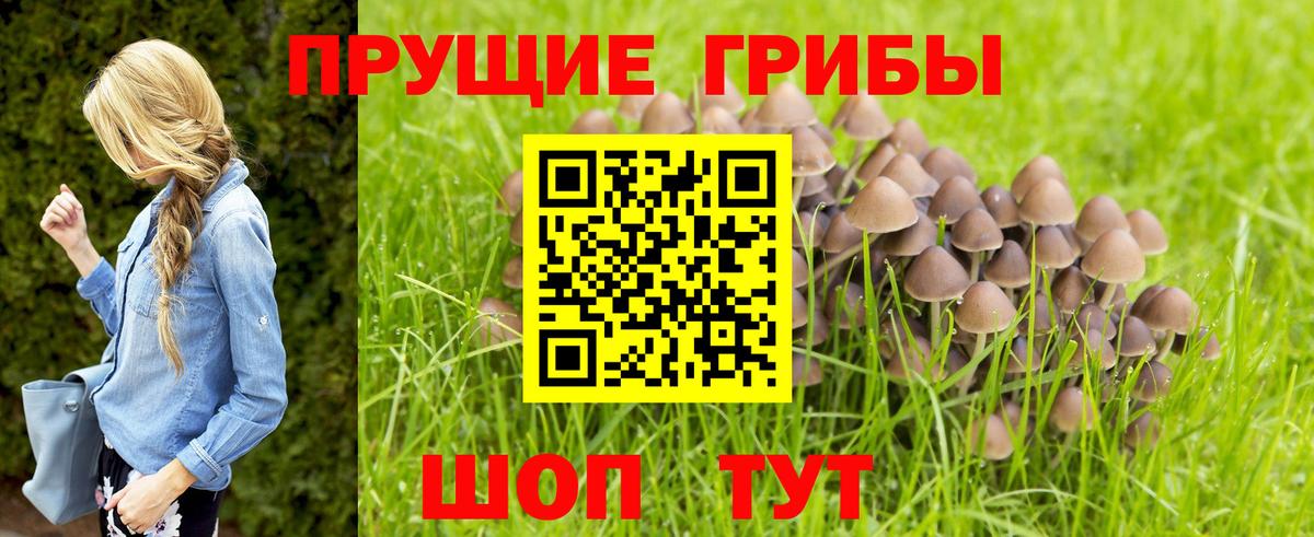 Галлюциногенные грибы Psilocybe  Псилоцибиновые грибы мухоморы  Вход с VPN  Мыски 